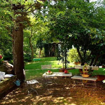 Il Papavero Relais Frühstückspension Senigallia