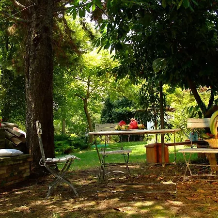 Il Papavero Relais Frühstückspension Senigallia