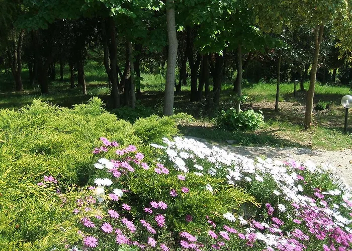 Frühstückspension Il Papavero Relais Senigallia