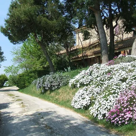 Il Papavero Relais Senigallia